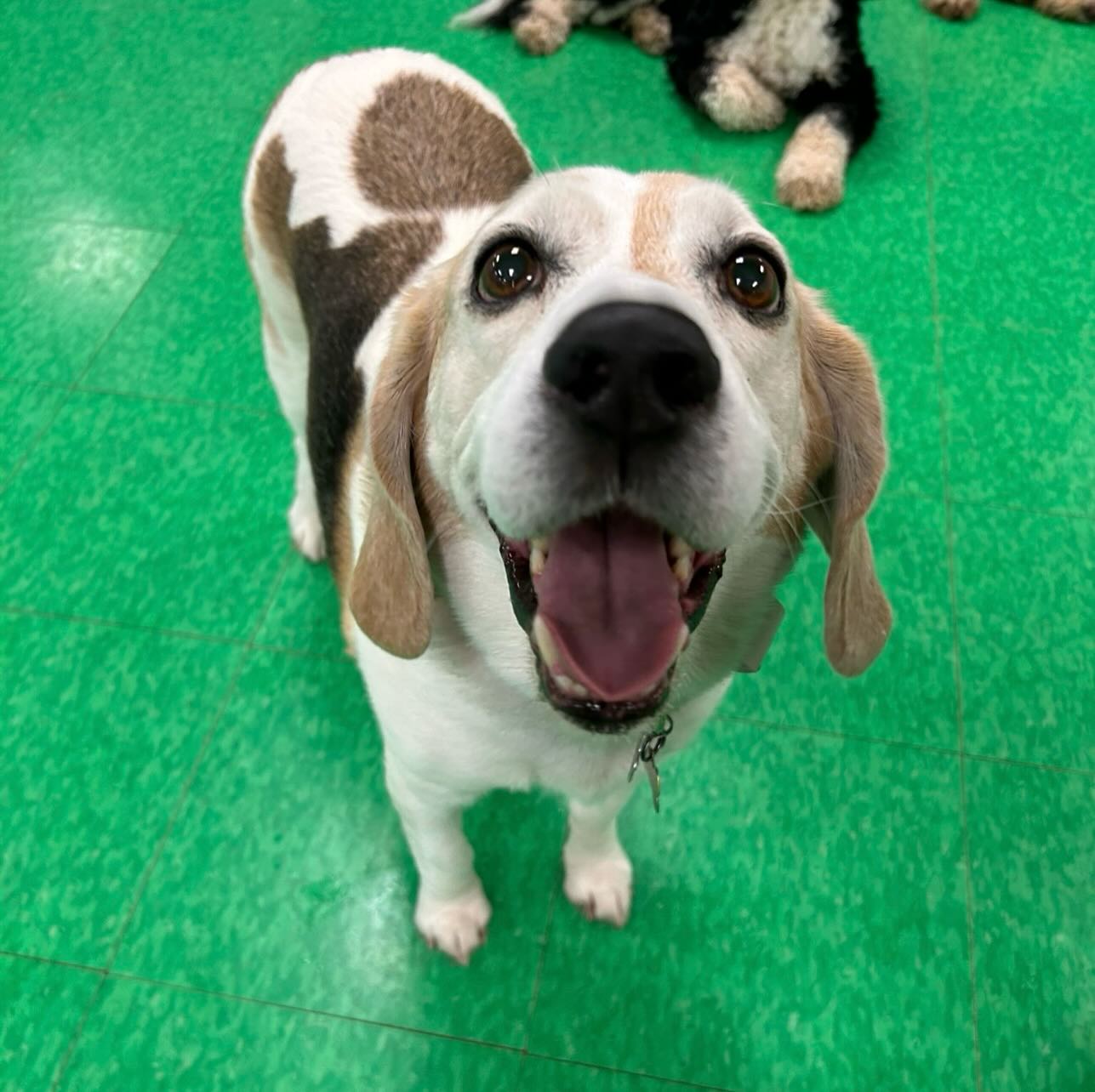 Buddy Martin (aka Slick)